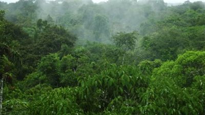 دراسة تكشف أسرار الموت العظيم: كيف بقيت الأرض في جحيم مناخي لملايين السنين