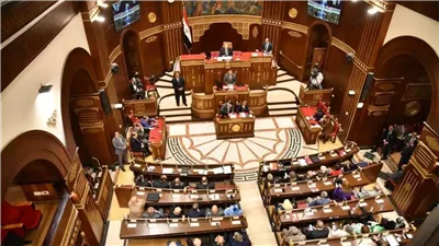 انتخابات الشيوخ.. تعرف على عقوبة الإخلال بأحكام الدعاية الانتخابية