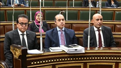 البرلمان والحكومة يتبادلان الشكر بعد مناقشات تنظيم شئون المهن الطبية
