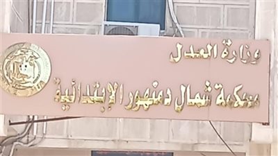  19 مرشحًا لمجلس الشيوخ تقدموا بأوراقهم في البحيرة