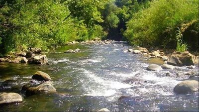 جفاف نهر الأولي يهدد الأمن المائي في لبنان ومخاوف من أزمة بيئية متفاقمة