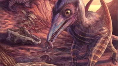 اكتشاف ديناصور طائر في حجم راحة اليد عاش قبل 200 مليون سنة