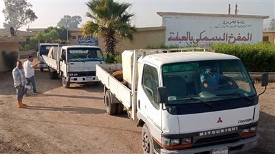 600 ألف زريعة جديدة من البلطي والمبروك لدعم الثروة السمكية في الشرقية