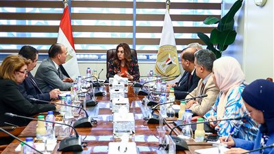 وزيرة التنمية المحلية تتابع الموقف التنفيذى لتطبيق الهوية البصرية بالمحافظات