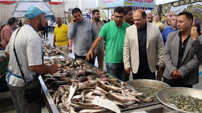 رئيس مركز ومدينة الإسماعيلية يشهد انطلاق مبادرة تخفيض الأسماك