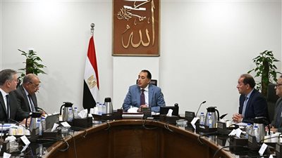 مدبولى يتابع توفير الاعتمادات المالية للمواد البترولية لتشغيل محطات الكهرباء