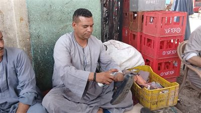 شاب من قنا يروي قصة كفاحه في مهنة تلميع الأحذية منذ عقدين