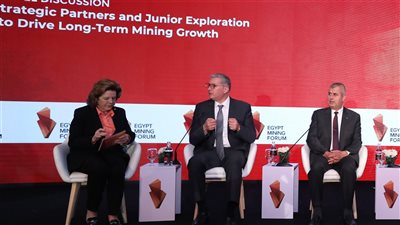 وزير البترول يشارك في جلسة 