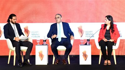 هيئة الاستثمار: تعظيم الاستفادة من ثروات مصر التعدينية عبر تعميق التصنيع 