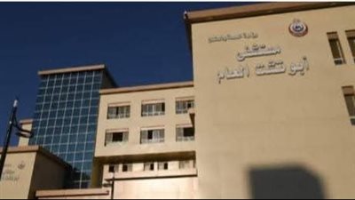 فصل رأسها عن جسدها.. مقتل سيدة على يد نجلها بقنا 