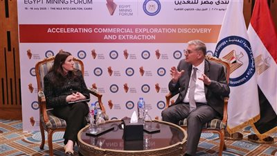 وزير البترول يلتقي المدير التنفيذي لشركة 