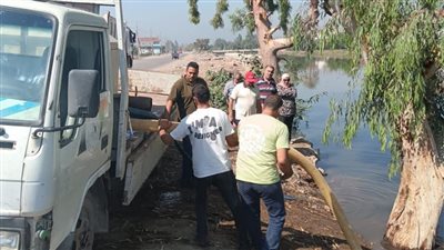 800 ألف زريعة أسماك لدعم الثروة السمكية في بحر مويس وأبو الأخضر بالزقازيق