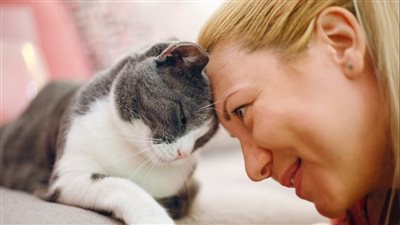 في تطور مذهل..استخدام الذكاء الاصطناعي للتحدث إلى الحيوانات