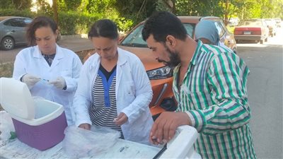 محافظة الجيزة: تجهيز شلتر إمبابة لإطلاق برنامج تعقيم الكلاب الضالة حفاظًا على سلامة المواطنين