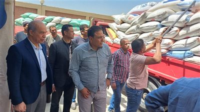  توريد 285 ألف طن من القمح للشون والصوامع بالفيوم