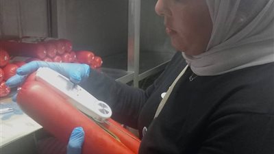 حملة  تفتيشية مكثفة على المنشآت السياحية بمدينة الغردقة