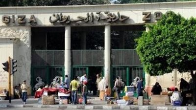 حديقة حيوان الجيزة تفتح أبوابها في سبتمبر 2025 بتجربة عالمية وأسعار تناسب الجميع