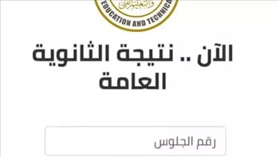 رابط... نتيجة الثانوية العامة 2025 برقم الجلوس
