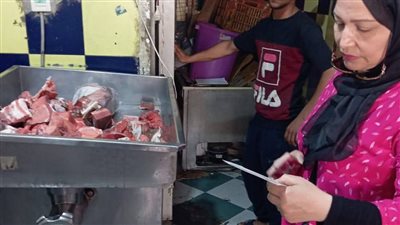ضبط أغذية فاسدة ومخالفات صحية في حملة تفتيشية بحي ثان الزقازيق