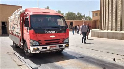 الشون والصوامع تواصل استلام محصول القمح من المزارعين بالفيوم