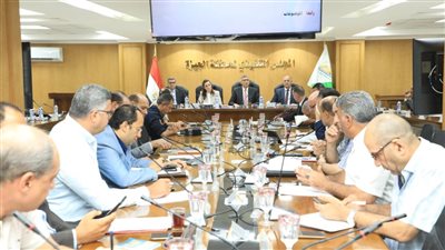 محافظ الجيزة: جاهزون لتوفير مناخ آمن ومنظّم للمواطنين في انتخابات مجلس الشيوخ 