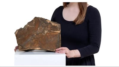 بيع نيزك مريخي نادر بأكثر من 5.3 مليون دولار في مزاد عالمي