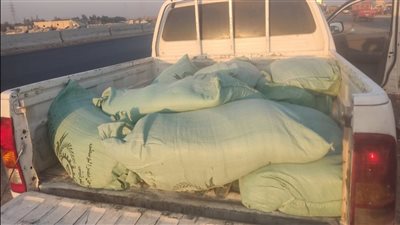 ضبط 600 كيلو دقيق وتحرير 19 محضرا ضد المخابز بالفيوم 