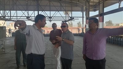 سكرتير مساعد الدقهلية يتفقد محطة تعبئة الغاز بطلخا 