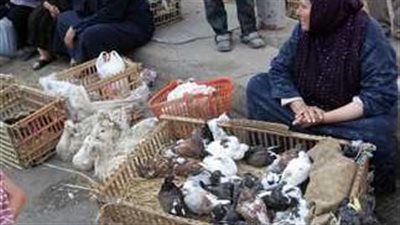 مطالبات بتطبيق قانون 