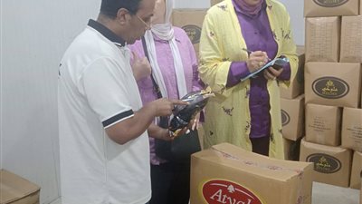 ضبط 4 طن لحوم ومصنعاتها غير مطابقة للمواصفات بالدقهلية