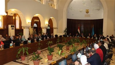 رئيس جامعة الإسكندرية يناقش مستجدات التوسع بفرعي أبو ظبى وماليزيا