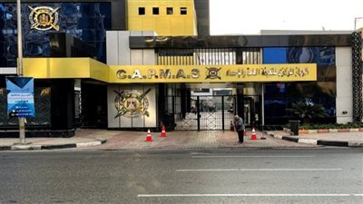 الإحصاء يكرم النماذج المشرفة عن شهر يونيو 2025