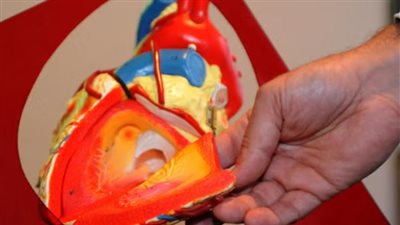 ابتكار جهاز صغير يوضع خلف الأذن لتحسين الأداء الرياضي.. كيف يعمل؟