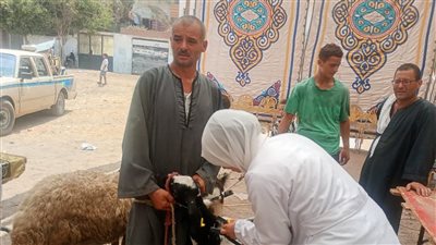 قافلة بيطرية مجانية تجوب قرية البلاشون بمشتول السوق تحت مظلة 