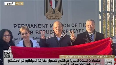 سفير مصر باليونان: مشاركة المصريين في التصويت تعكس وعيهم الوطني