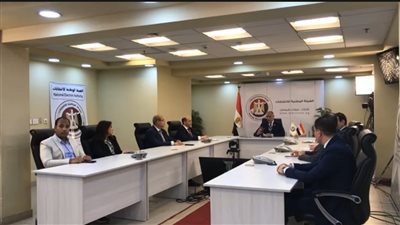 المصريون في ألمانيا يشاركون بكثافة في انتخابات الشيوخ رغم التظاهرات بشوارع هامبرج