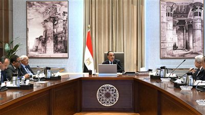 رئيس الوزراء يلتقي أعضاء اللجنة الاستشارية للشئون السياسية