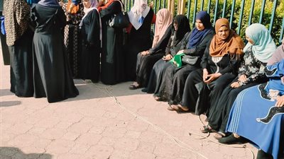 في ثاني أيام التصويت.. المنوفية تشهد حضورًا نسائيًا لافتًا وسط إقبال محدود