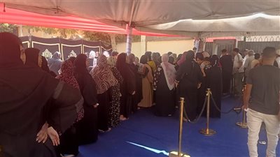 السيدات يتصدرن المشهد الانتخابي بشبرا فى انتخابات مجلس الشيوخ