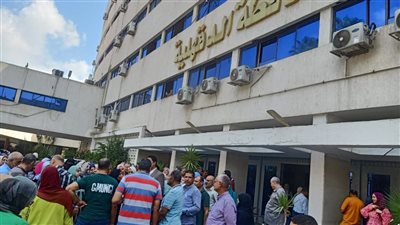 موظفو ديوان عام الدقهلية يدلون بأصواتهم في انتخابات الشيوخ