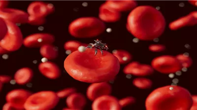 باحثون يكتشفون علاجًا واعدًا لأحد أخطر أنواع سرطان الدم