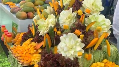 بازار لكافة أنواع المانجو بالإسماعيلية