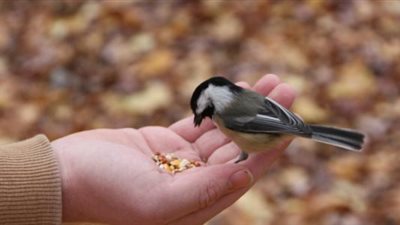 9 أسباب لقطع الرزق.. وأدعية لجلب البركة والخير