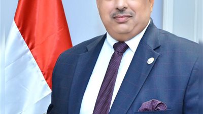 السلاموني: التوسع في الصوامع ورفع سعر الأردب وراء تراجع واردات القمح وزيادة التوريد المحلي