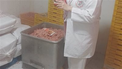 ضبط 4 أطنان دواجن وأسماك مخالفة خلال حملات تفتيشية موسعة ببلبيس