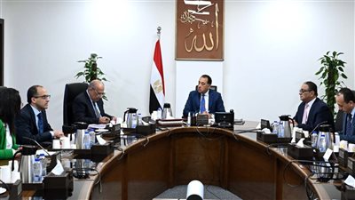 رئيس الوزراء يتابع موقف توفير التغذية الكهربائية لمشروعات التنمية الزراعية بالدلتا الجديدة