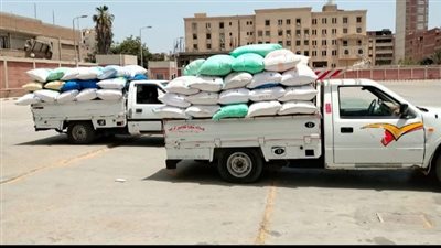 الشرقية تواصل تحقيق أرقام قياسية في توريد القمح المحلي وتجاوز 603 آلاف طن منذ بدء الموسم