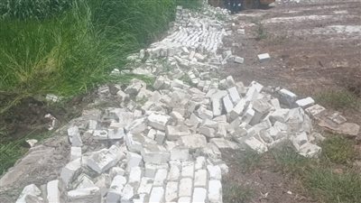 محافظ بني سويف: إزالة 83 حالة ضمن الموجة الـ27 لإزالة التعديات