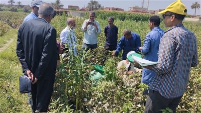 المركزية للإرشاد الزراعي تنفذ 462 ندوة إرشادية