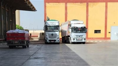 صوامع وشون الشرقية تستقبل 603 ألف طن قمح منذ بداية الحصاد